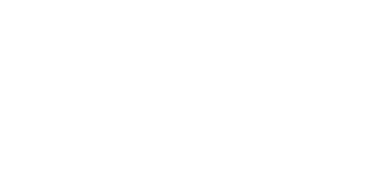 LARSON logo